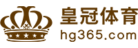 Logo 环亚